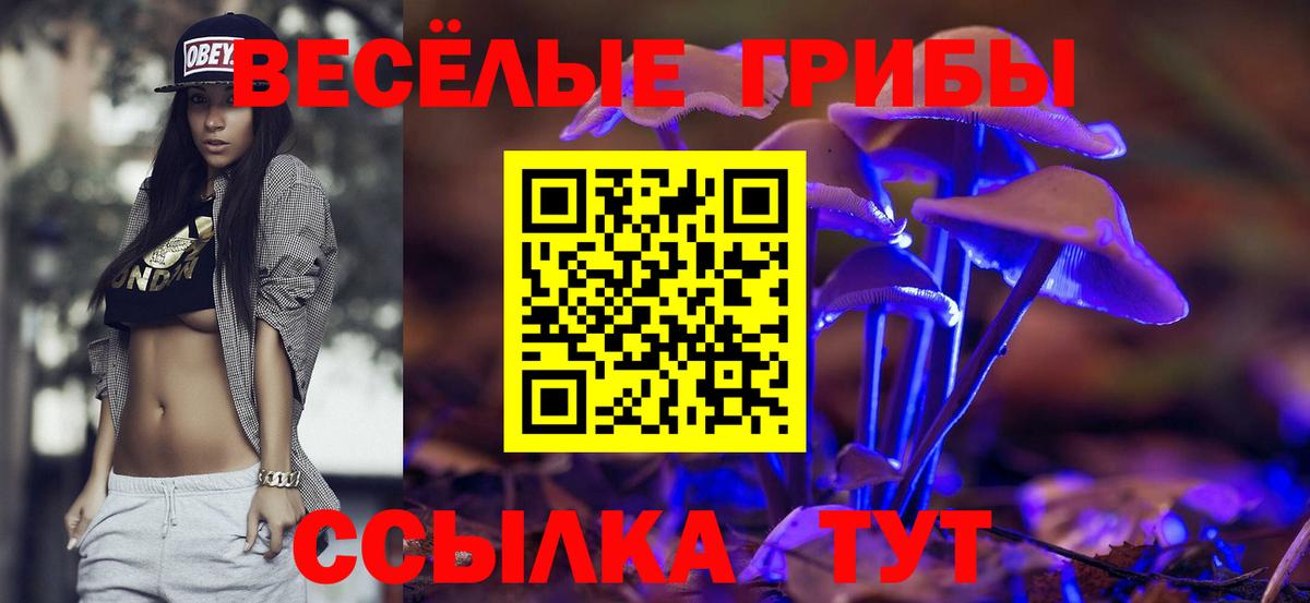 Псилоцибиновые грибы MAGIC MUSHROOMS  Вход с VPN  Псилоцибиновые грибы ЛСД  Мурино 